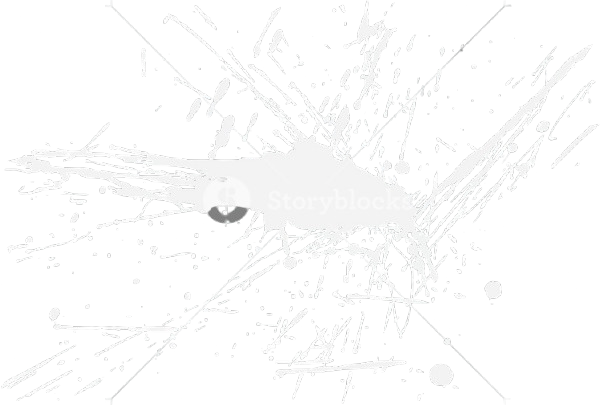 splash image